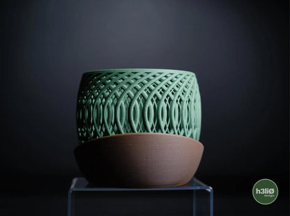 Quaser Orchid Planter