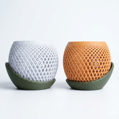 Polygon Orchid Planter