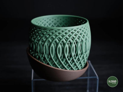 Quaser Orchid Planter