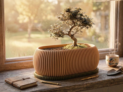 Bonsai Planter