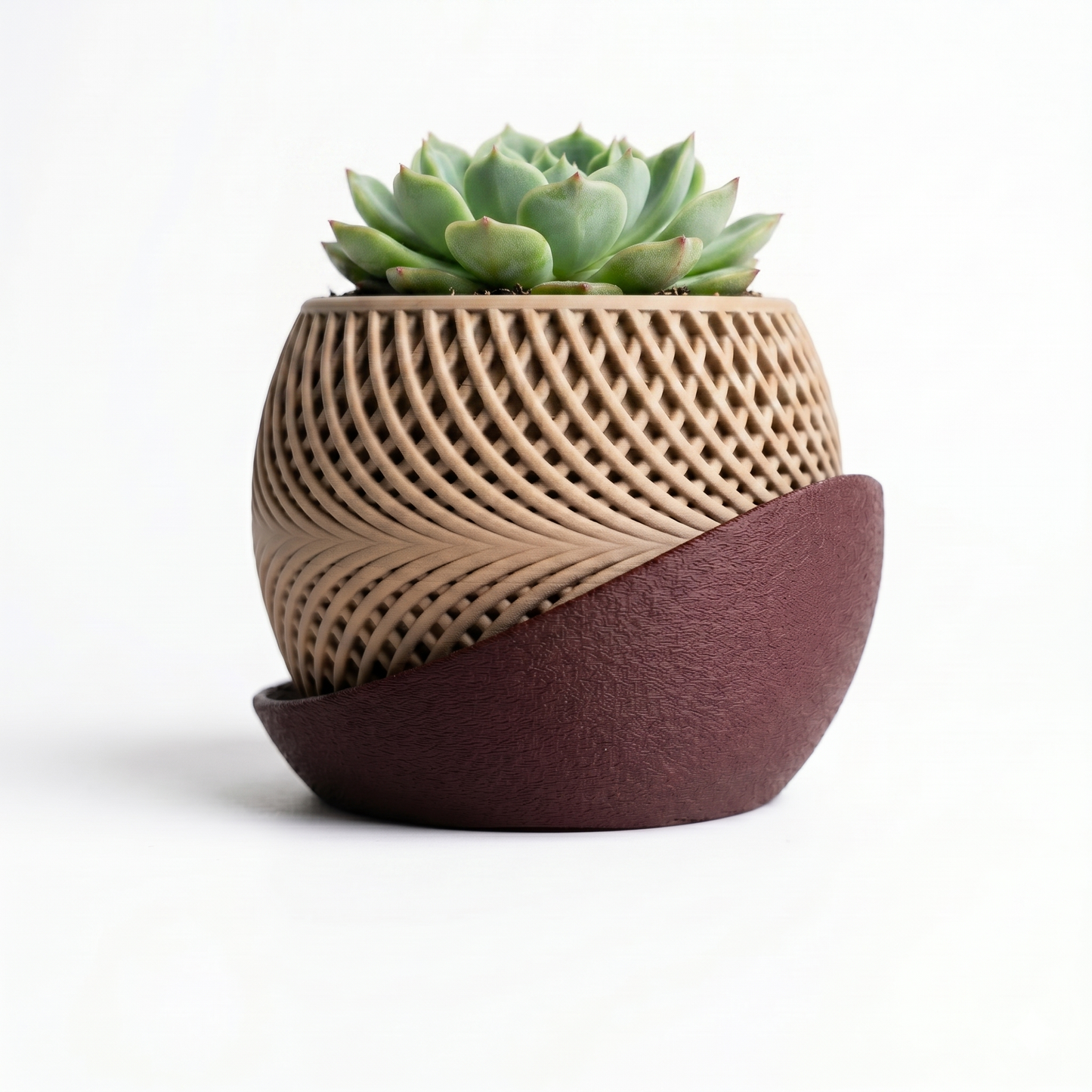 Ceramic planter with textured design and succulent on a white background