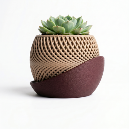 Ceramic planter with textured design and succulent on a white background