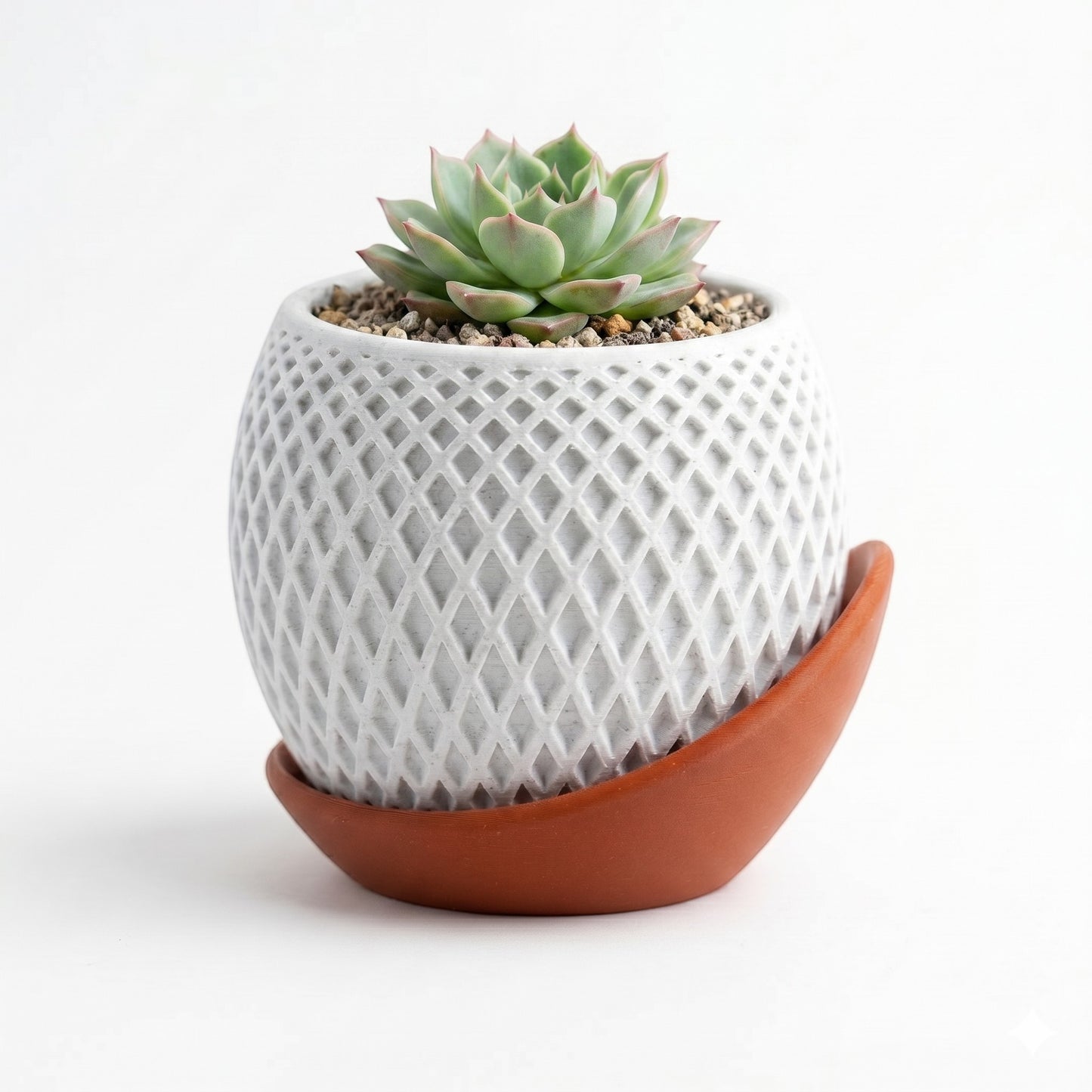 Polygon Planter