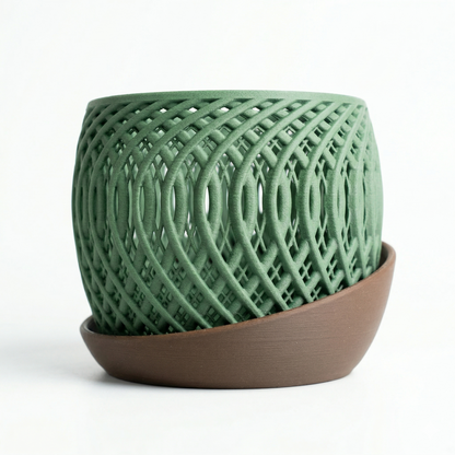 Quaser Orchid Planter