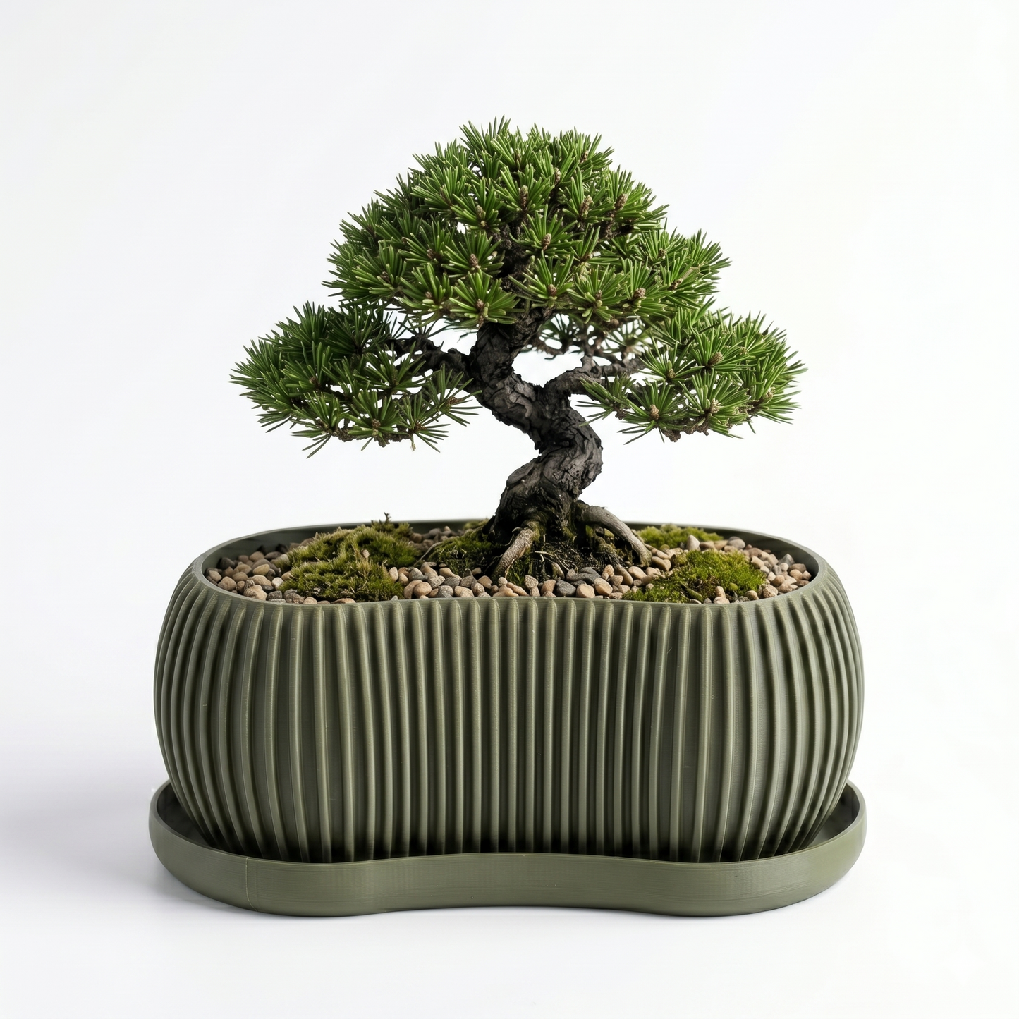 Terra Planter in olive green with matching drip tray styled with a bonsai tree — 3D printed indoor pot by Lux Print Labs